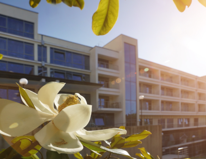 Санаторий «Радуга» Сочи